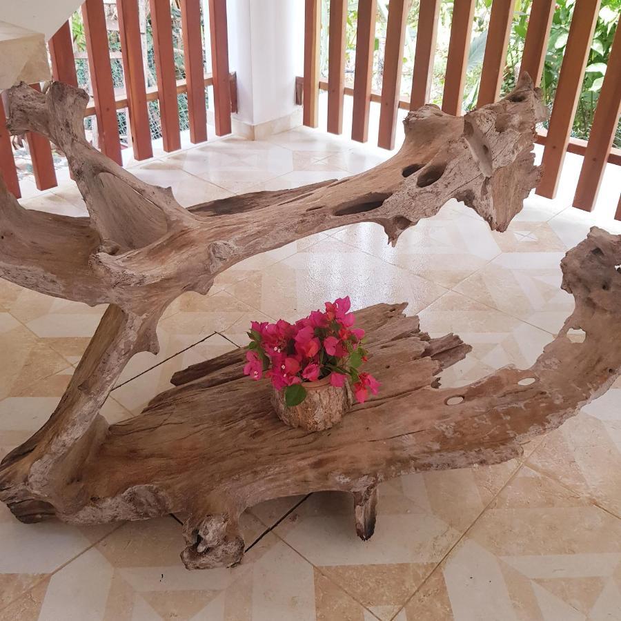 Hotel Restaurante Selva Negra Turbaco Kültér fotó