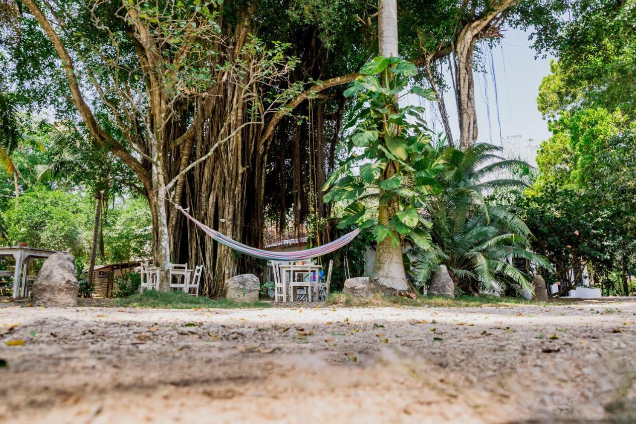 Hotel Restaurante Selva Negra Turbaco Kültér fotó